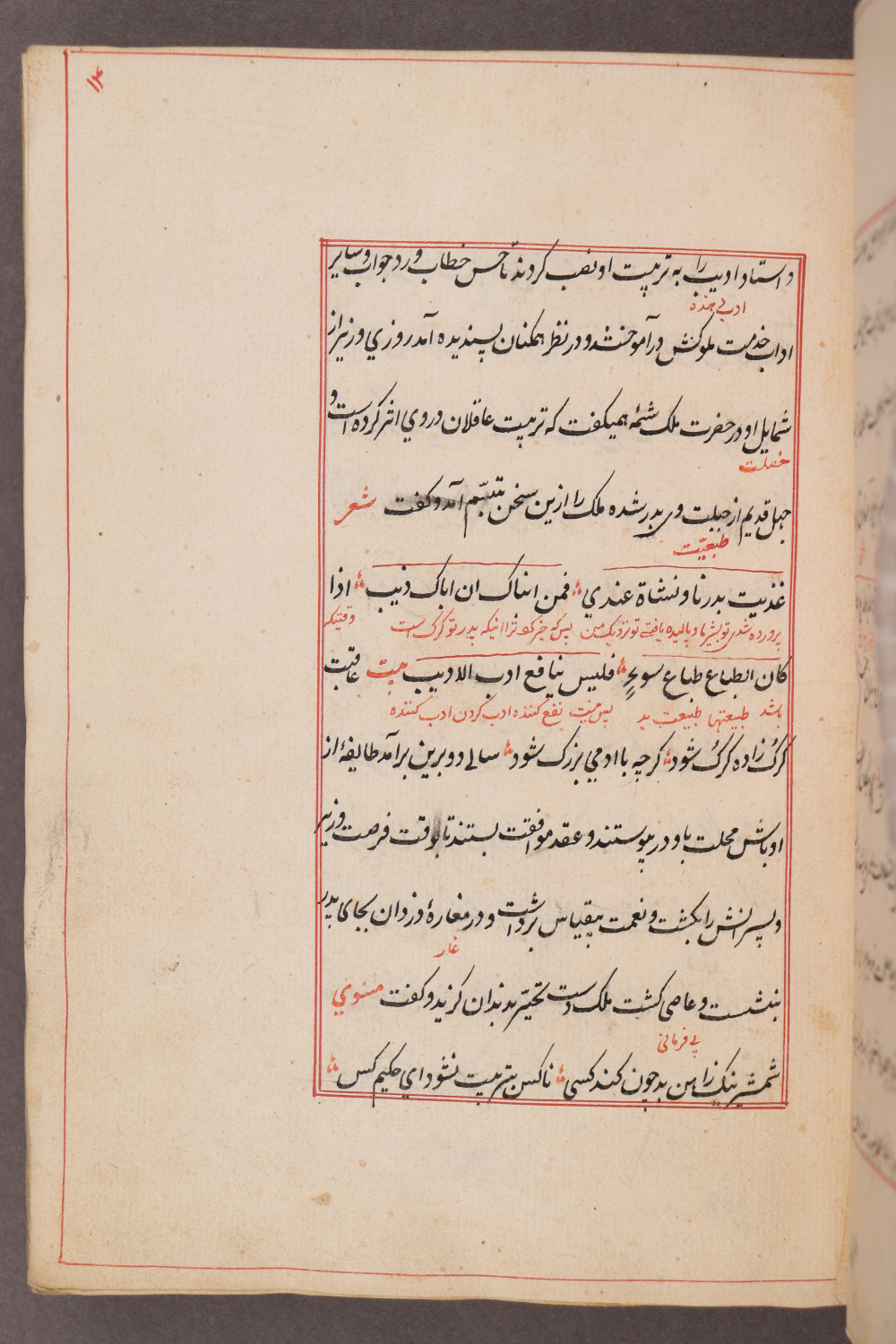 Folio 14 recto (23 a)